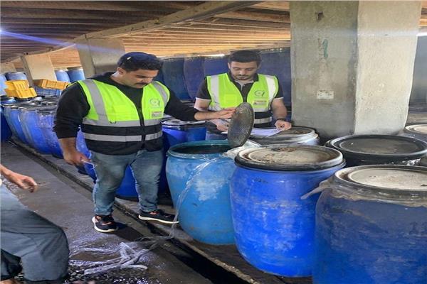 جانب من حملات تموين الغربية