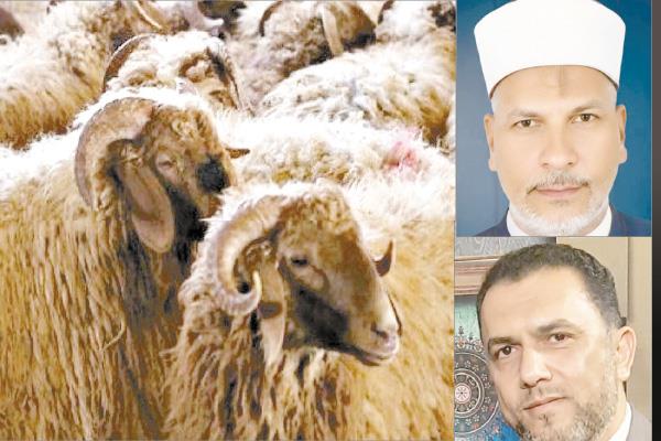د. معوض حماد - د.صفوت المتولى - الأضحية