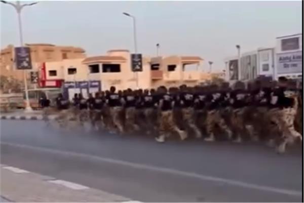 قوات الصاعقة 