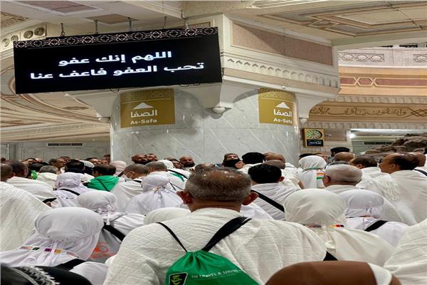 جهود مكثفة لخدمة الحجاج المصريين