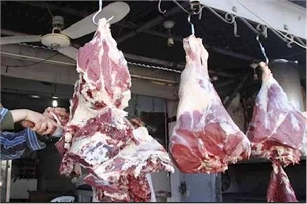 العيد والصحة.. نصائح طبية لعيد أضحى صحي وآمن