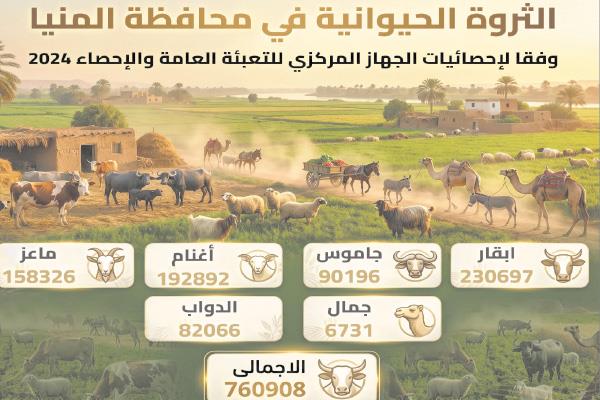 مملكة اللحوم
