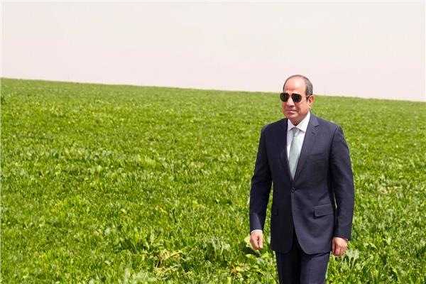 الرئيس السيسي 