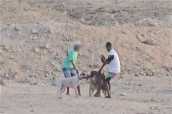 المتهمين