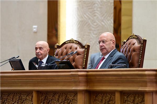 برلمانية الوفد تطالب بإحياء مبادرة الدفاع العربي المشترك