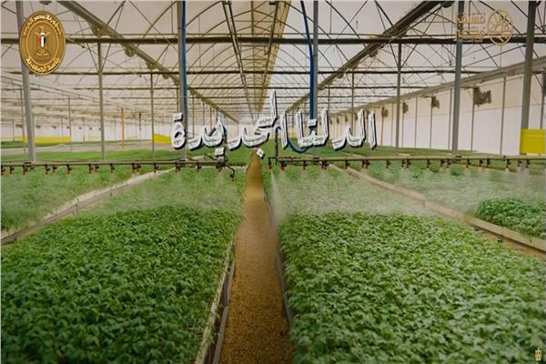 مشروع الدلتا الجديدة
