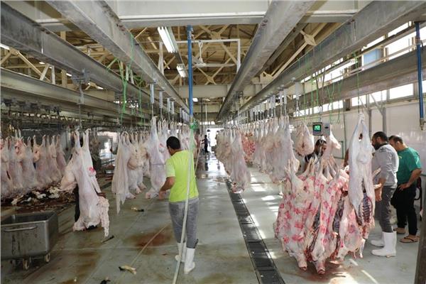 محافظ القاهرة : رفعت درجة الاستعداد القصوى لاستقبال عيد الأضحي المبارك بكافة مجازر