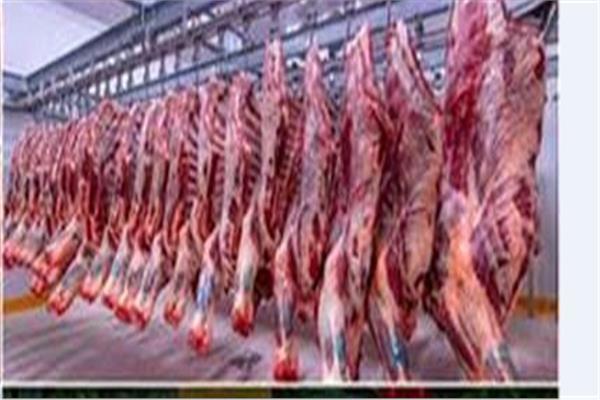 أسعار اللحوم اليوم الخميس