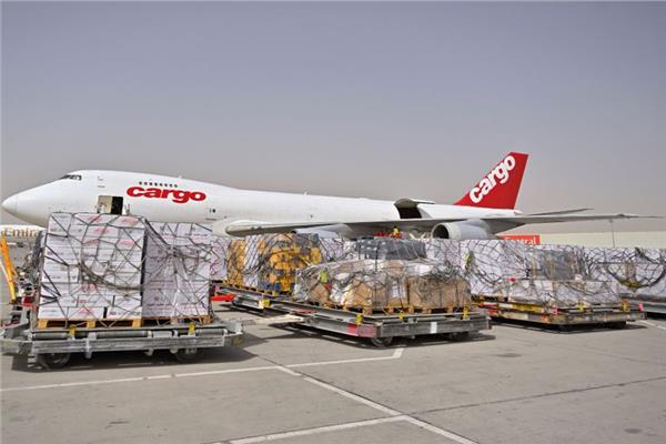 وصول طائرة مساعدات عاجلة تحمل 100 طن إلى مطار العريش