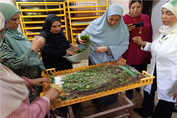 خلال فعاليات تمكين المرأة المعيلة