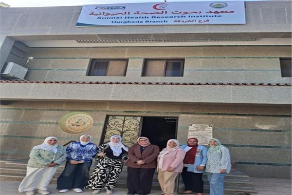 صورة موضوعية