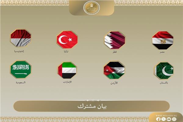 وزراء الخارجية العرب والمسلمين يدينون أفعال الوزير الإسرائيلي بأسطول غزة 