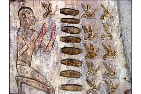 عسل النحل عند الفراعنة