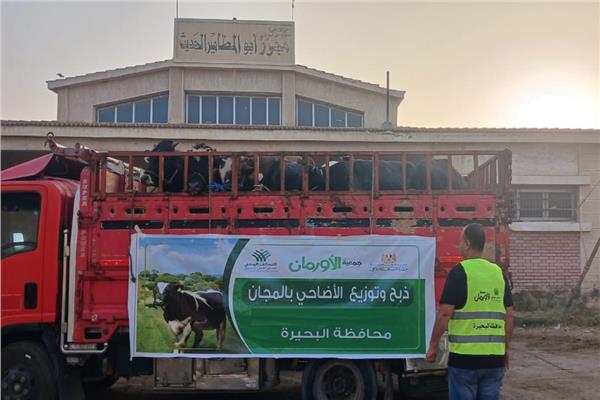 نحر 75 عجلا فى مجزر أبو المطامير بالبحيرة