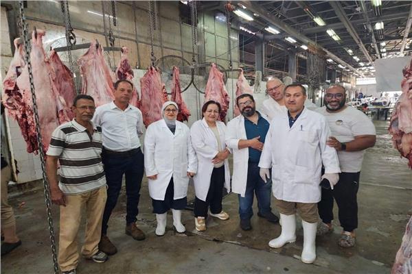 المجزر