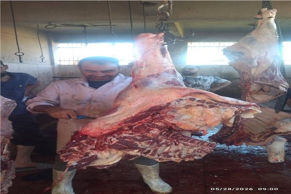 ذبح الأضاحي في المجازر الحكومية