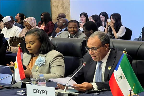 وزير الخارجية خلال مشاركته في الجلسة الوزارية