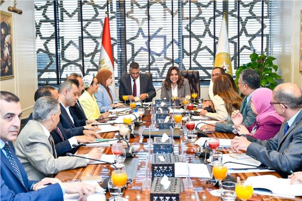 الدكتورة منال عوض وزيرة التنمية المحلية والبيئة