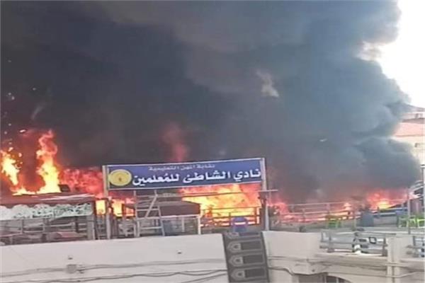 موضوعية