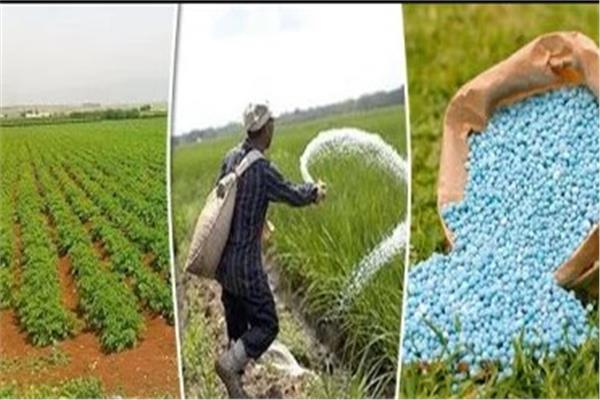  الأسمدة الزراعية بالواحات البحرية