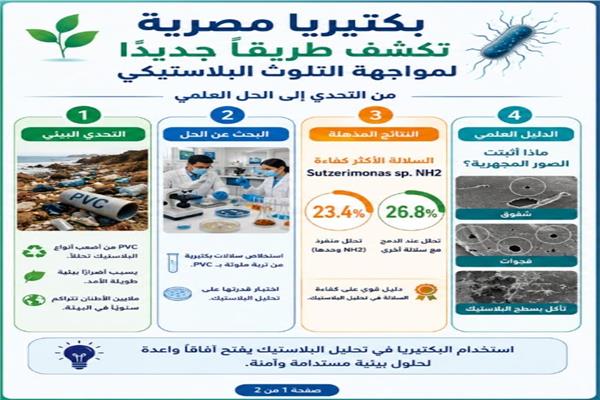 صورة موضوعية