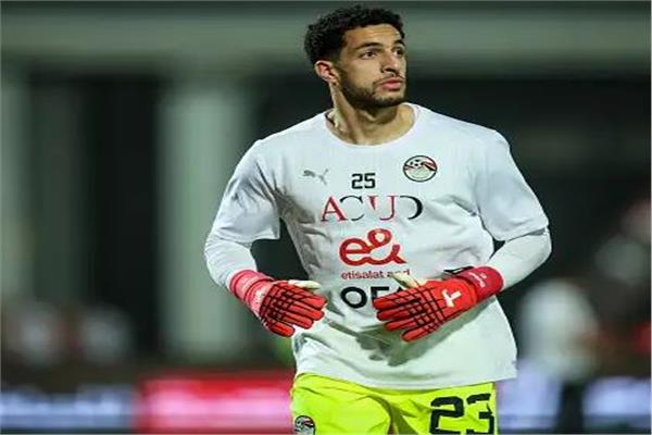 مصطفى شوبير