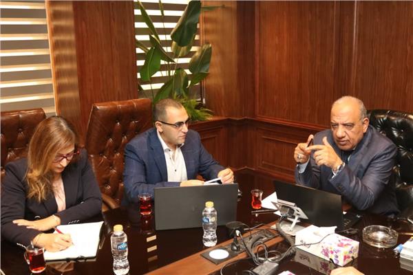 وزير الكهرباء يبحث مع «نكسوس أناليتيكا» آليات تنظيم سوق الطاقة 