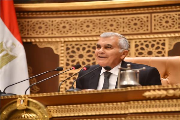  المستشار عصام الدين فريد