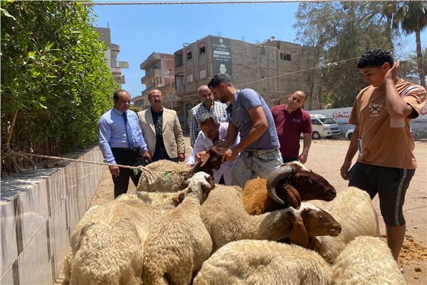  قافلة طبية بيطرية بالدقهلية 