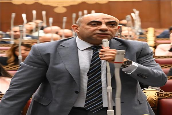  محمد إبراهيم موسى، عضو مجلس الشيوخ