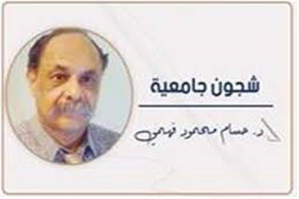 د. حسام محمود فهمى