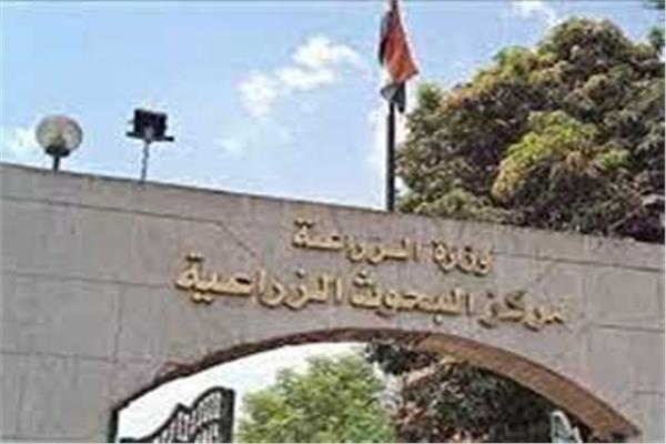 مركز البحوث الزراعية