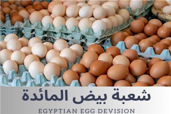 شعبة بيض