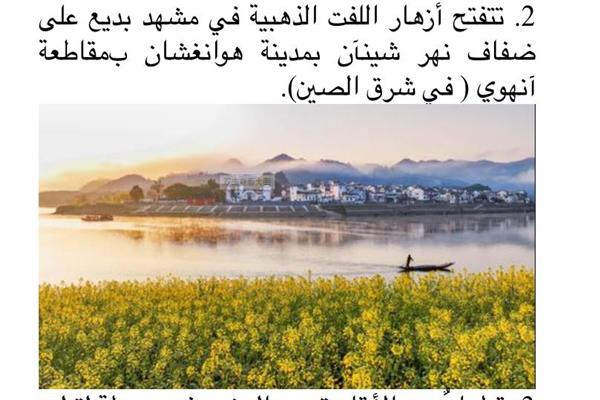 الصين الجميلة: مشاركة الخضرة مع العالم