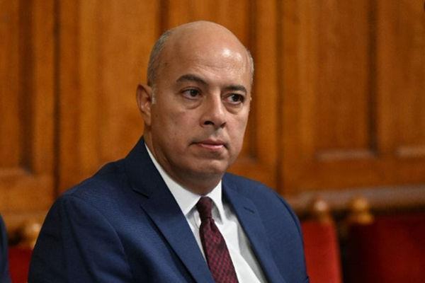 السفير محمد الشناوي