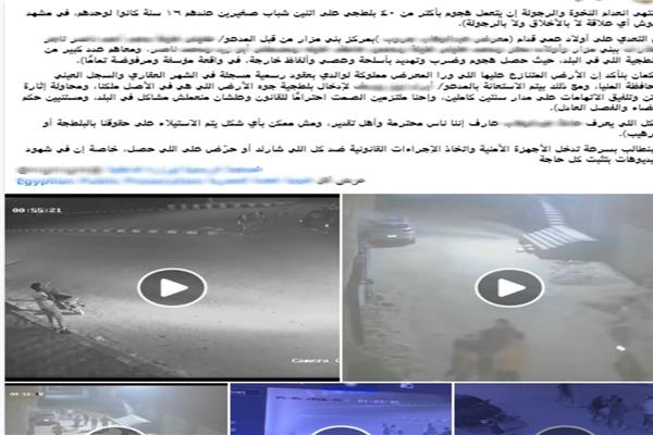 جانب من المنشوارت