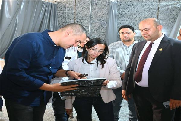 محافظ البحيرة تتابع مستوى الخدمات الطبية