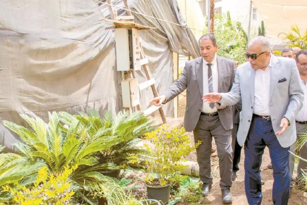 صور.. زراعة الأنسجة النباتية وتحقيق نجاح بارز