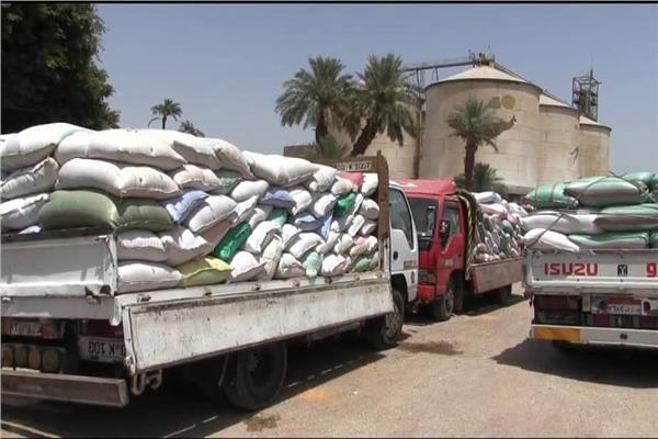 زيادة إنتاجية القمح