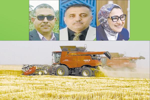 حنان مجدى - جهاد المتولى - د. مجدى المرسى