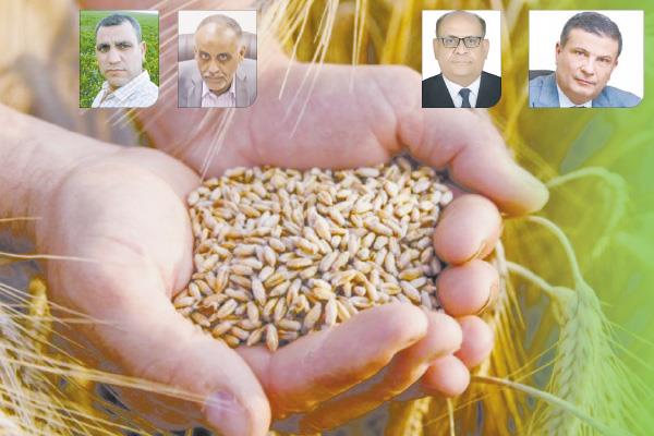 علاء فاروق - م. رومانى مساك - م . حازم عبد المنعم - م . عصام يوسف