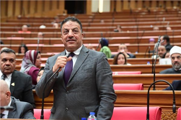 النائب فيصل أبو عريضة