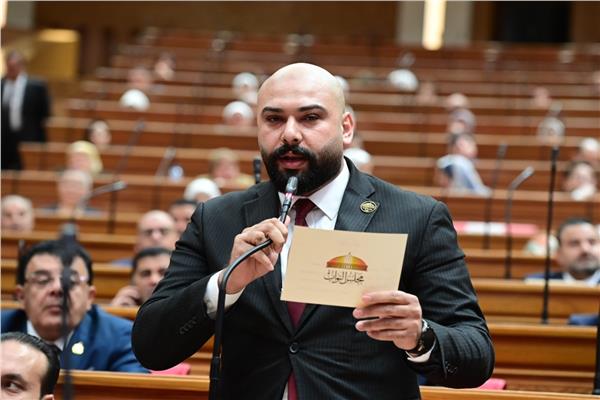 النائب إبراهيم الديب