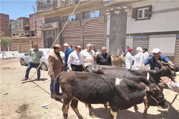 محافظ الدقهلية يتابع قافلة بيطرية مجانية