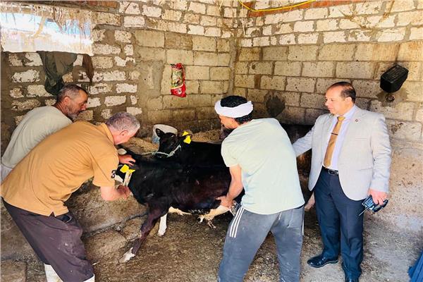 محافظ الدقهلية:   11.9 ألف خدمة 