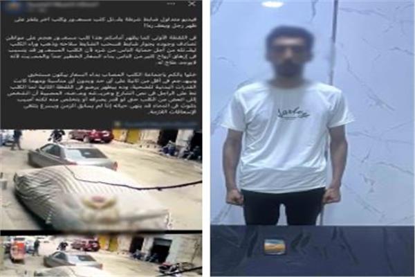 ضبط ناشر فيديوهات قديمة عن الكلاب