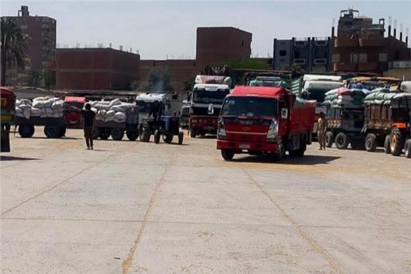 توريد ١٨٦ ألف طن قمح بسوهاج