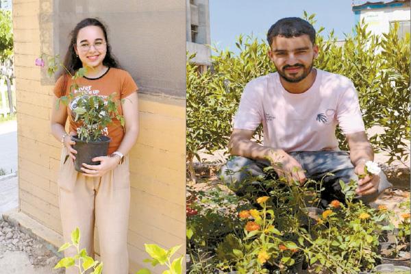 مبادرة «شجر من ورق»