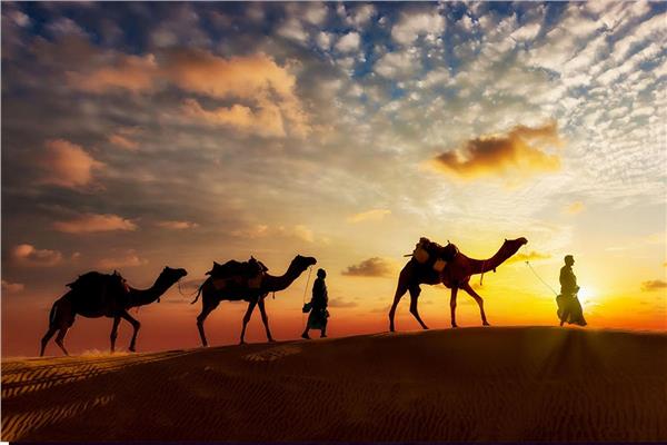 الأوقاف: العفو عند المقدرة.. من دروس وعبر الهجرة النبوية الشريفة