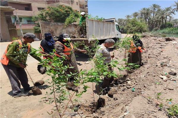 جانب من مبادرة «ازرع شجرة» بمركز ومدينة أبو النمرس